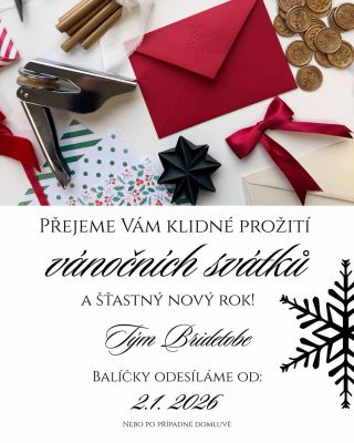Děkujeme Vám za úžasný rok!✨ Jsme rádi, že jste byli součástí Vašich svateb a hezkých momentů🤍 Těšíme se na další sezónu🌸👰...
